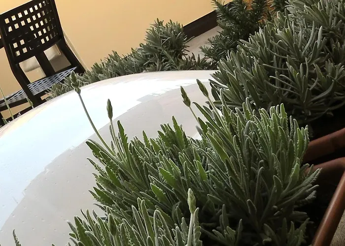 8 Colonne شقة بولونيا