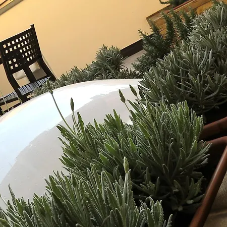 8 Colonne Apartment Bologna